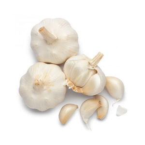 FRESH GARLIC