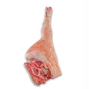 PORK LEG BONE IN, INCL. FOOT