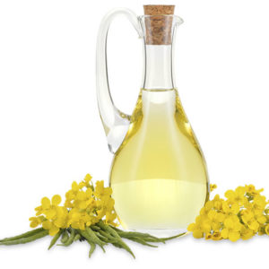 Refined Rapeseed Oil / Canola Oil